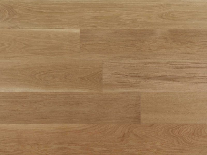 American Oak-Milkyway