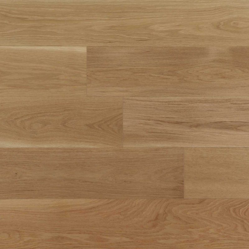 American Oak-Milkyway