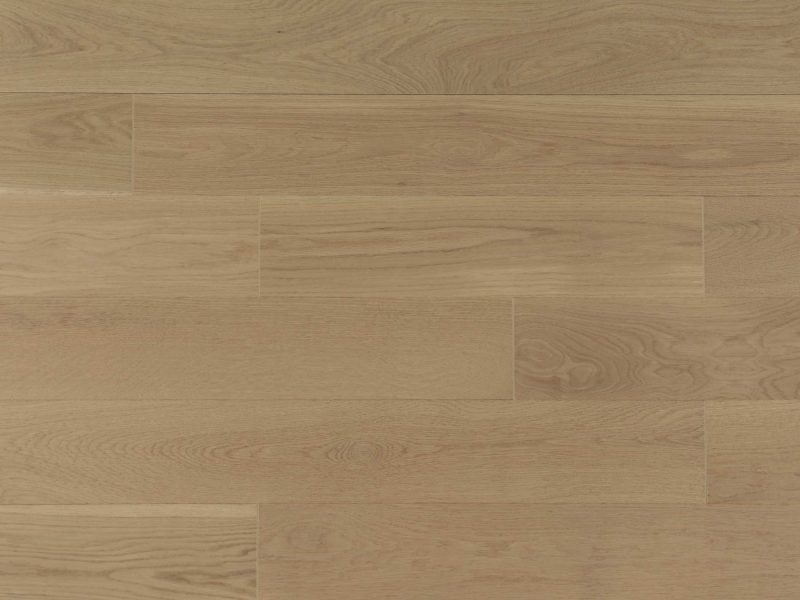 American Oak 6 Collection Click-Day Break