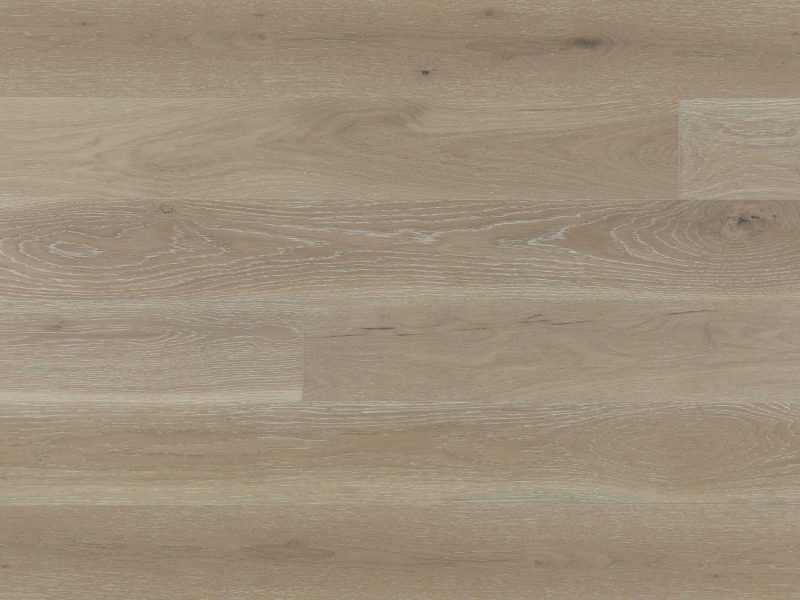 American Oak-Driftwood