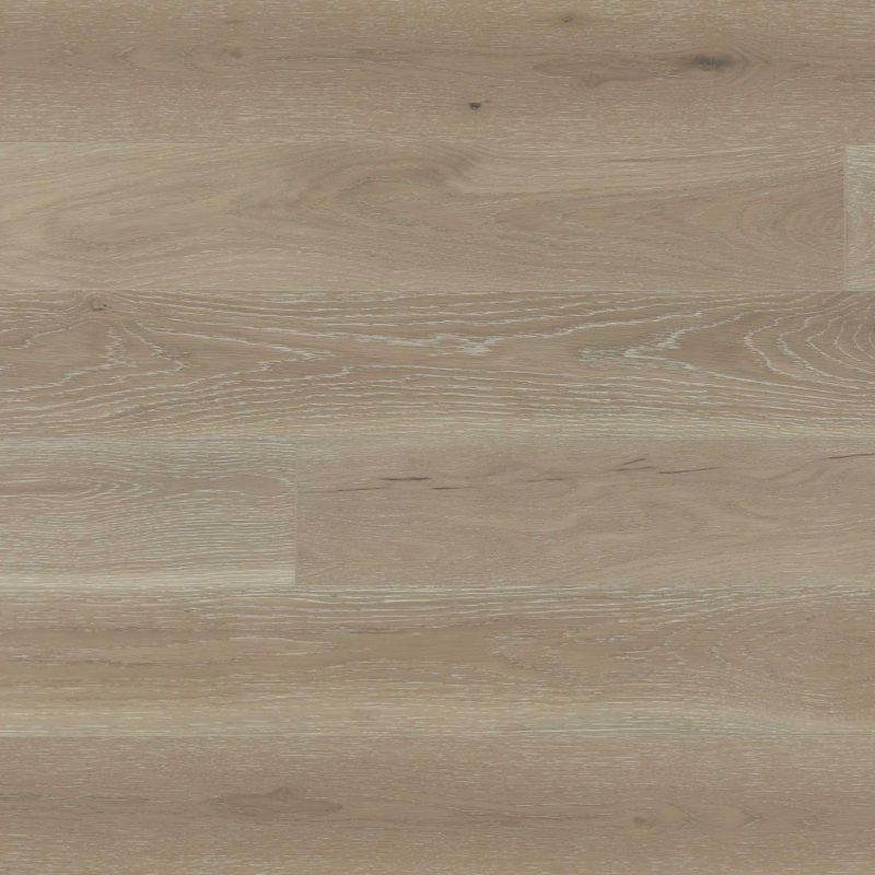 American Oak-Driftwood