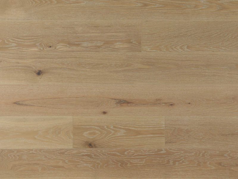 American Oak-Summerlily