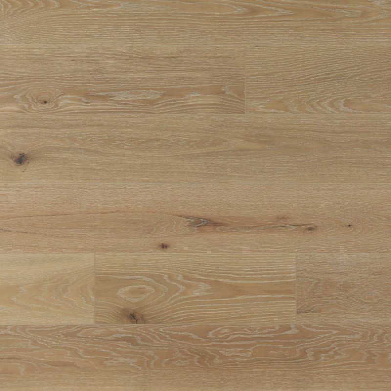 American Oak-Summerlily