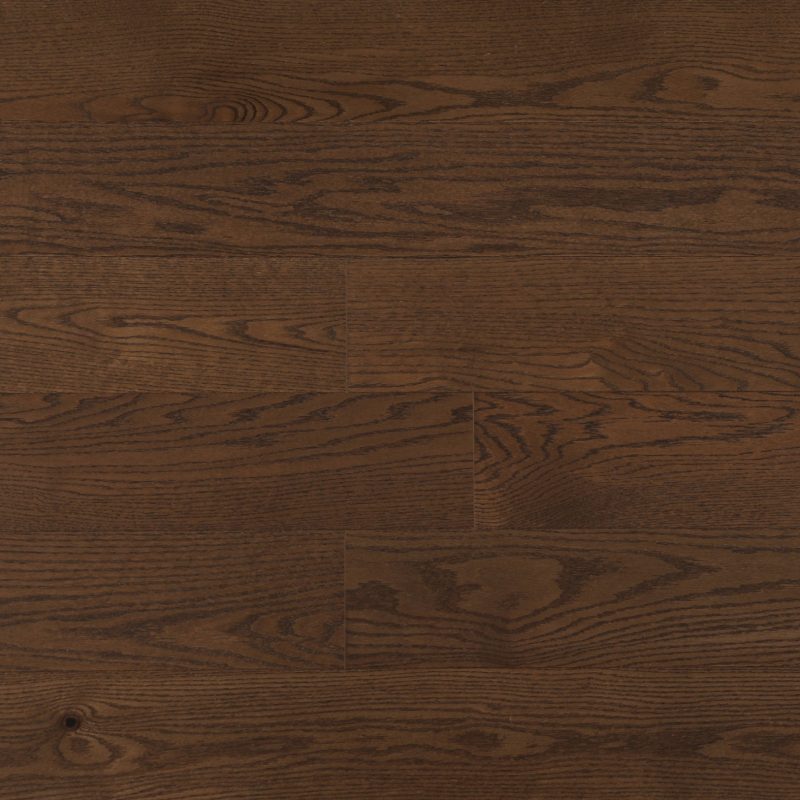 American Oak 6 Collection-Camel