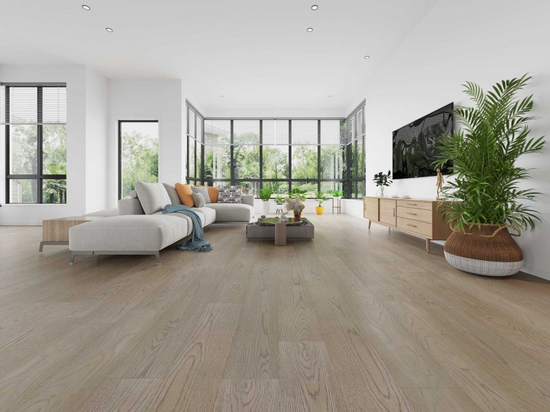 American Oak-Sky - Image 3