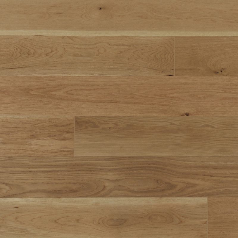 American Oak 7 Collection-Milkyway